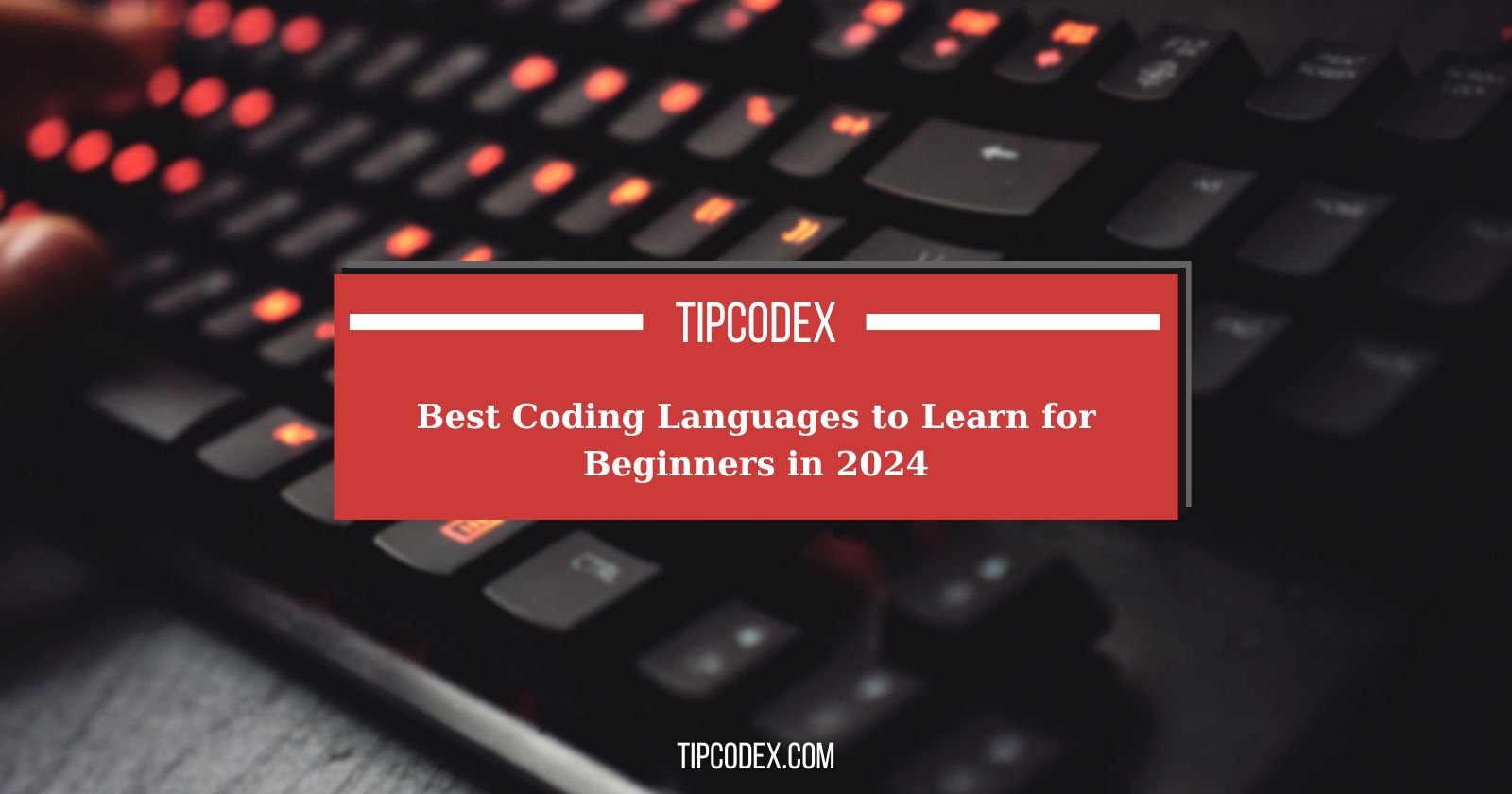 Best Coding Languages to Learn for Beginners in 2024