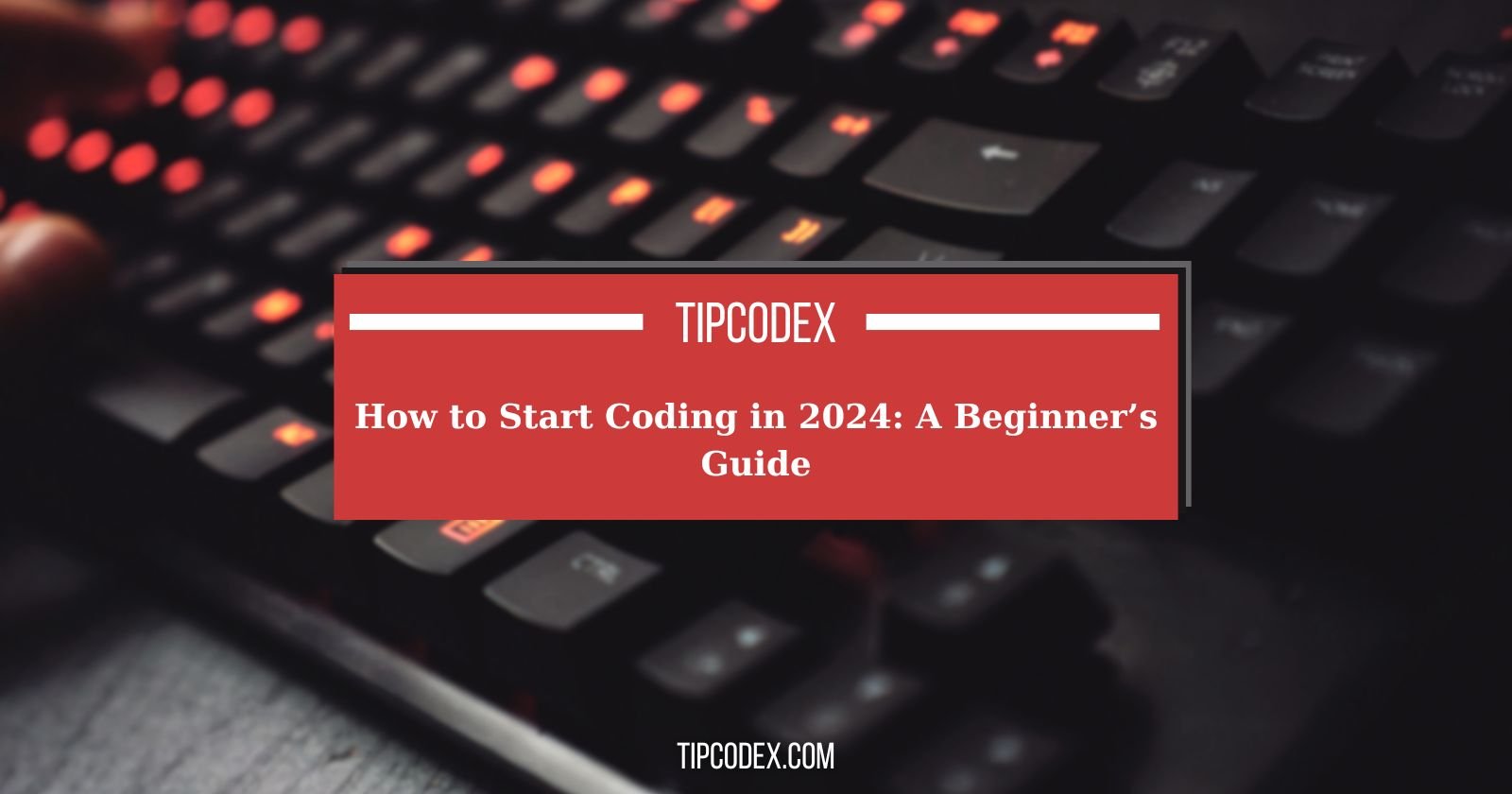 How to Start Coding in 2024 A Beginner’s Guide